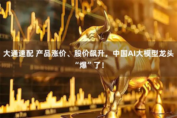 大通速配 产品涨价、股价飙升，中国AI大模型龙头“爆”了！