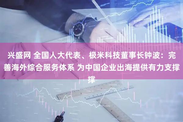 兴盛网 全国人大代表、极米科技董事长钟波：完善海外综合服务体系 为中国企业出海提供有力支撑