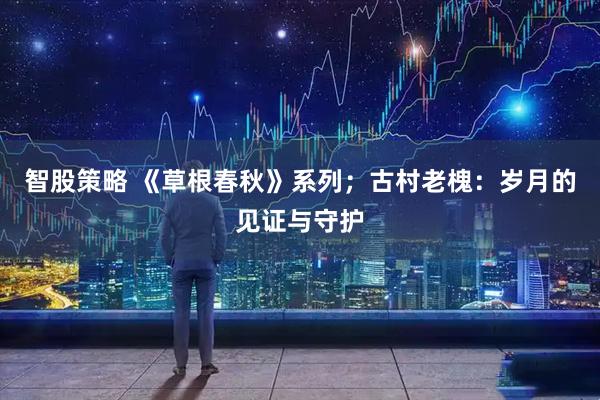 智股策略 《草根春秋》系列；古村老槐：岁月的见证与守护