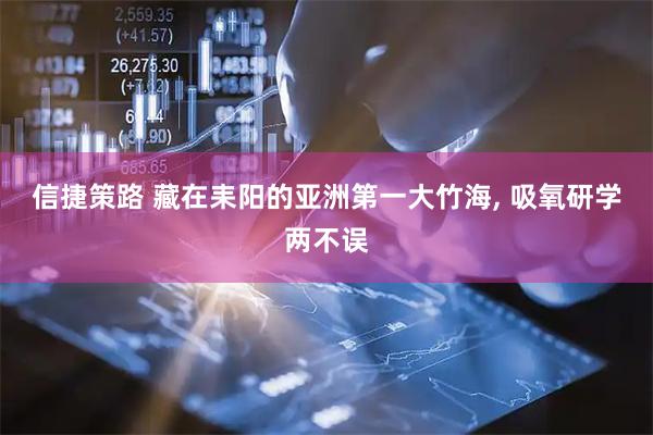 信捷策路 藏在耒阳的亚洲第一大竹海, 吸氧研学两不误
