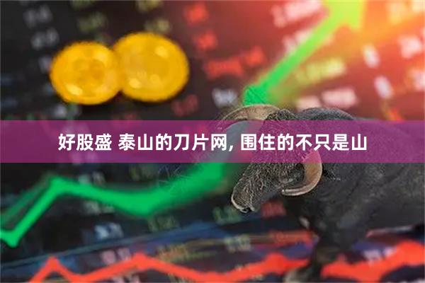 好股盛 泰山的刀片网, 围住的不只是山
