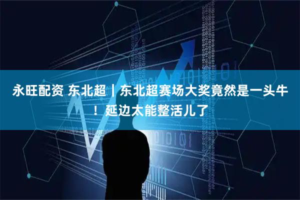 永旺配资 东北超|东北超赛场大奖竟然是一头牛!延边太能整活儿了